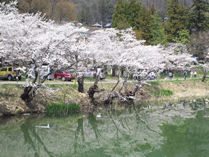 来場車も賑わう